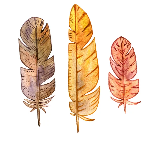 suluboya kahverengi tüyler seti