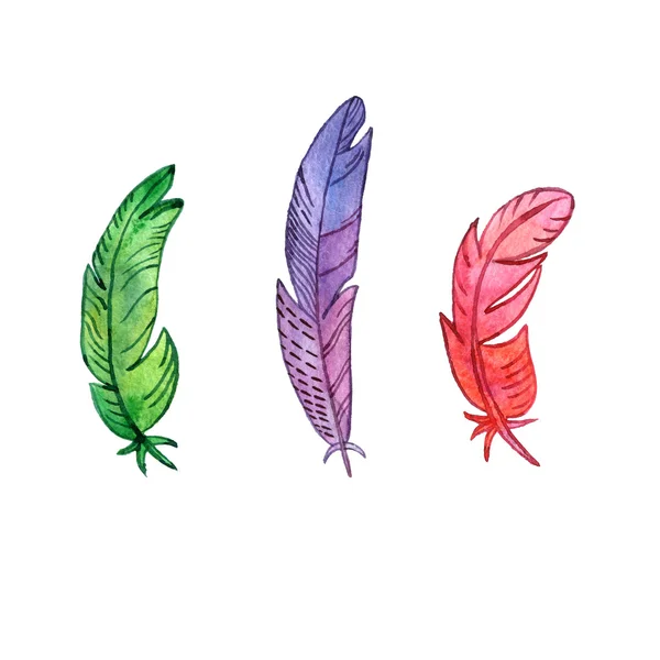 组的水彩羽毛 — 图库照片