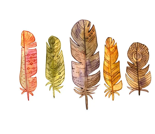 suluboya kahverengi tüyler seti