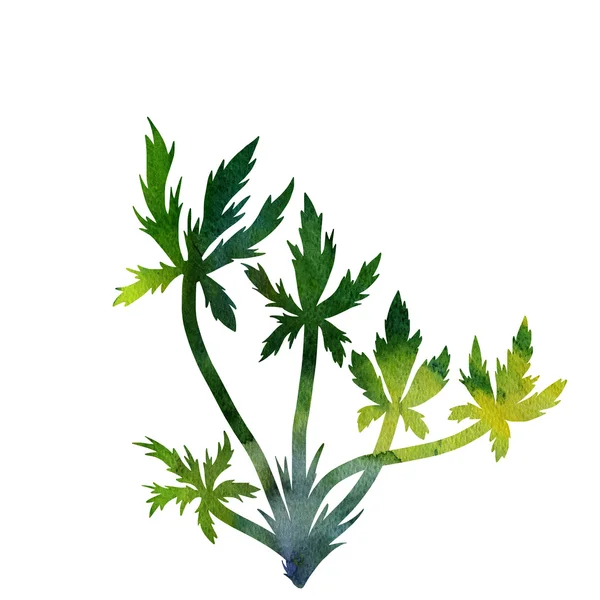 çiçek kompozisyon bitkiler ve yaprakları