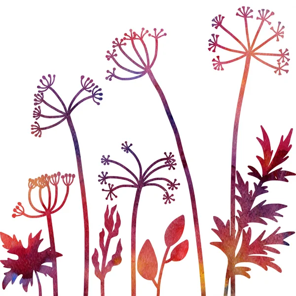 Květinová kompozice s koprem rostlin — Stock fotografie