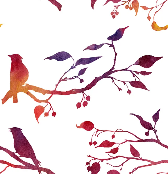 Bezszwowy wzór z ptakami w oddziałach drzew — Zdjęcie stockowe