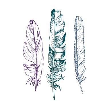 vektör tüy kümesi