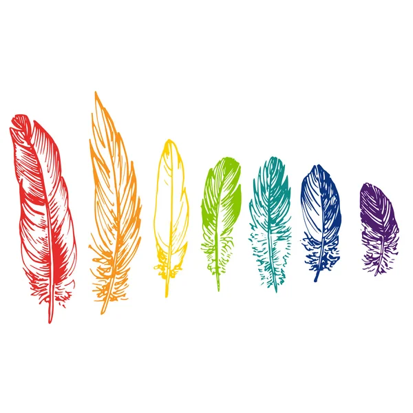 Vector set of rainbow feathers — Stock Vector