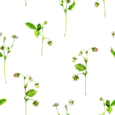 Sulu Boya çizim çilekli tesisleri ile Seamless Modeli