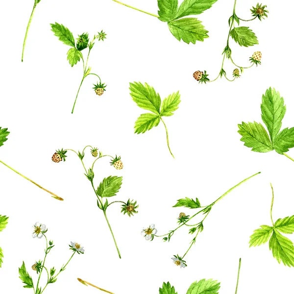 Seamless pattern with watercolor drawing strawberry plants — Stock Photo, Image