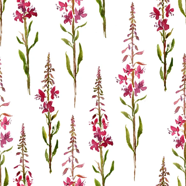 用水彩绘图鲜花的柳树草本无缝模式 — 图库照片