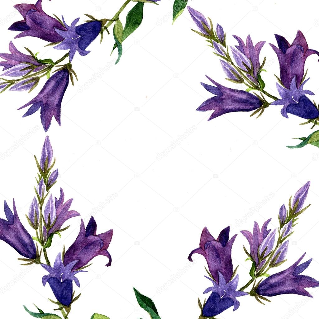 Fondo con i fiori blu campana disegno acquerello dipinto di piante selvatiche illustrazione botanica in stile vintage colore cornice disegno floreale