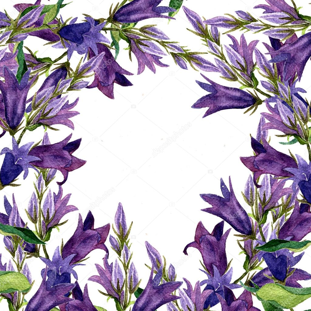 Fondo con i fiori blu campana disegno acquerello dipinto di piante selvatiche illustrazione botanica in stile vintage colore cornice disegno floreale
