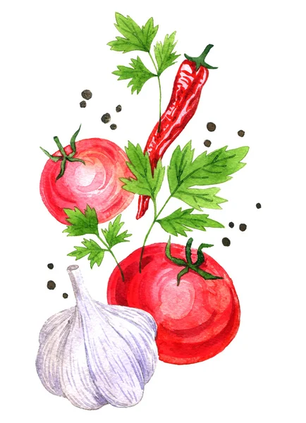 Akvarell ritning grönsaker — Stockfoto