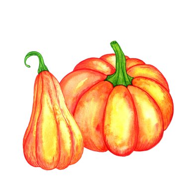 Sulu Boya turuncu kabak