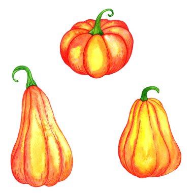 Sulu Boya turuncu kabak