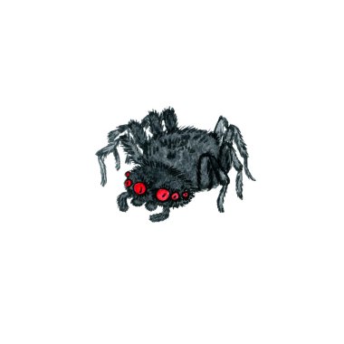 suluboya karikatür örümcek