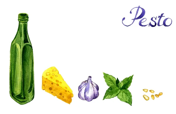 Aquarell Zeichnung Pesto Zutat — Stockfoto