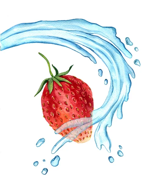 Dessin à l'aquarelle fraise avec éclaboussure d'eau — Photo