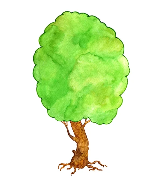 Ακουαρέλα πράσινο δέντρο — Φωτογραφία Αρχείου