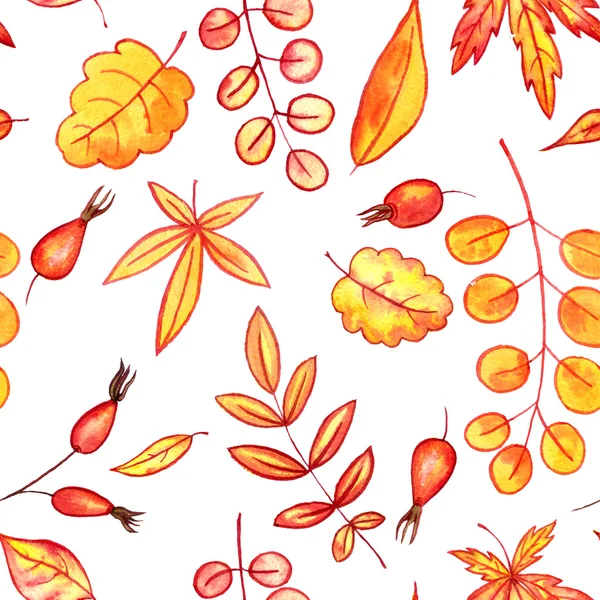 Patrón sin costuras con hojas y bayas de otoño —  Fotos de Stock