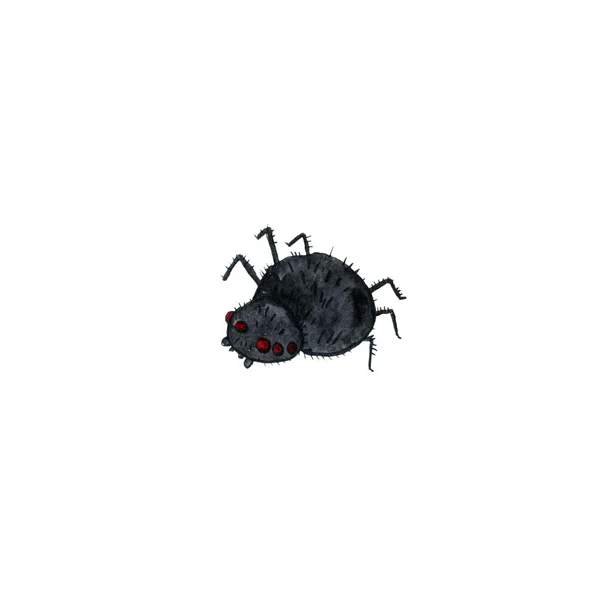 Aranha dos desenhos animados wtercolor — Fotografia de Stock