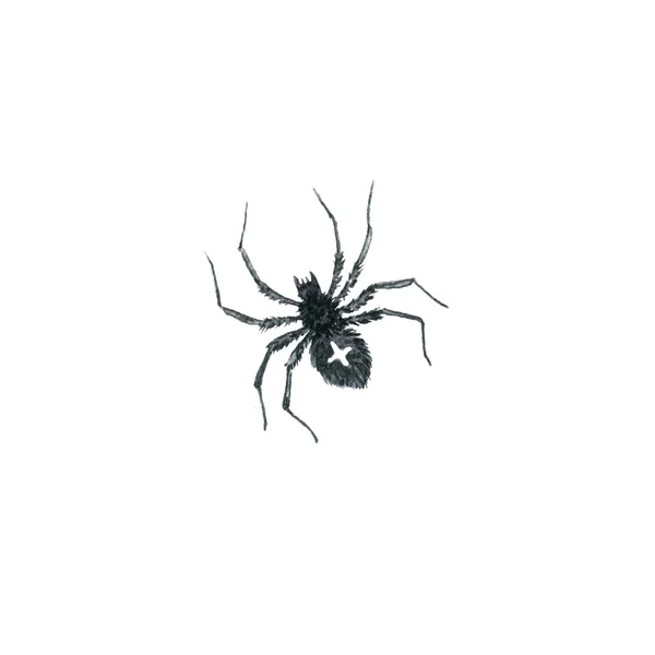 Акварель мультфільм павук — стокове фото