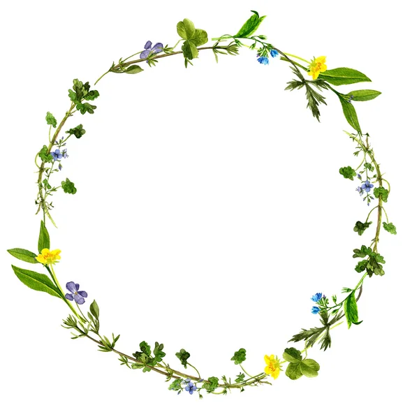 Acuarela dibujo marco floral — Foto de Stock