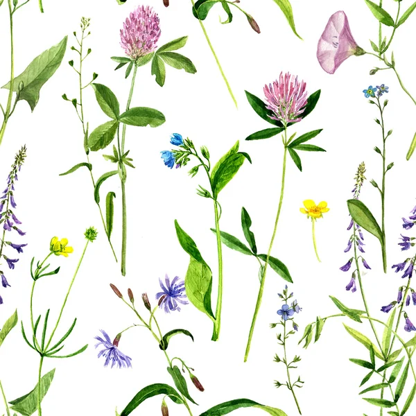 Seamless mönster med akvarell ritade blommor och örter — Stockfoto