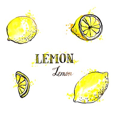 çizilmiş limon el