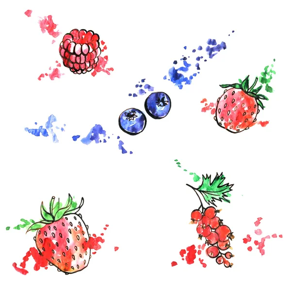 手工绘制的浆果 — 图库照片