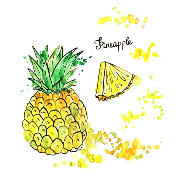 Ananas czerpany ręcznie — Zdjęcie stockowe