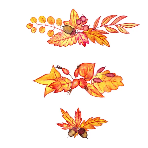 Ensemble de feuilles et de baies d'automne — Photo