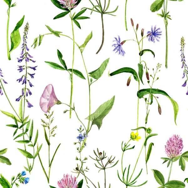 Pola mulus dengan gambar bunga cat air dan herbal — Stok Foto