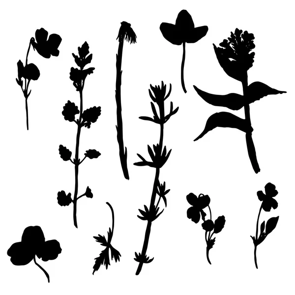 Set of drawing plants silhouettes — Stock Vector
