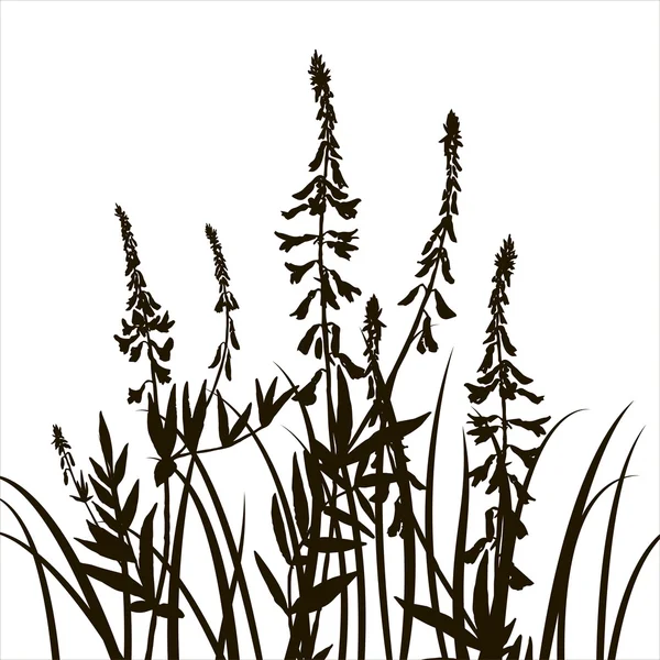 Векторні силуети квітів і трави — стоковий вектор