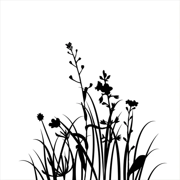 Silhuetas vetoriais de flores e grama —  Vetores de Stock