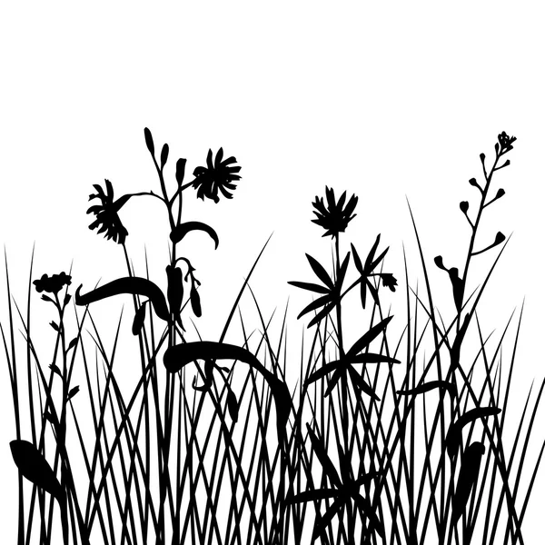Silhouettes vectorielles de fleurs et d'herbe — Image vectorielle