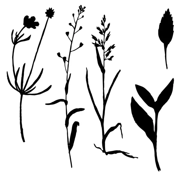 Conjunto vectorial de siluetas de plantas de dibujo — Archivo Imágenes Vectoriales