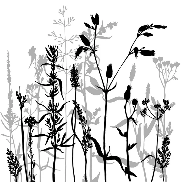花や草のベクトル シルエット — ストックベクタ