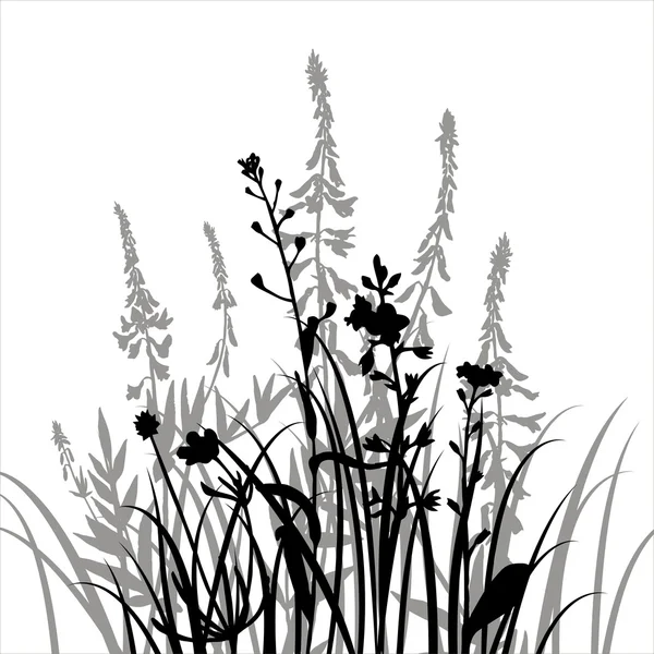 Silhouette vettoriali di fiori ed erba — Vettoriale Stock