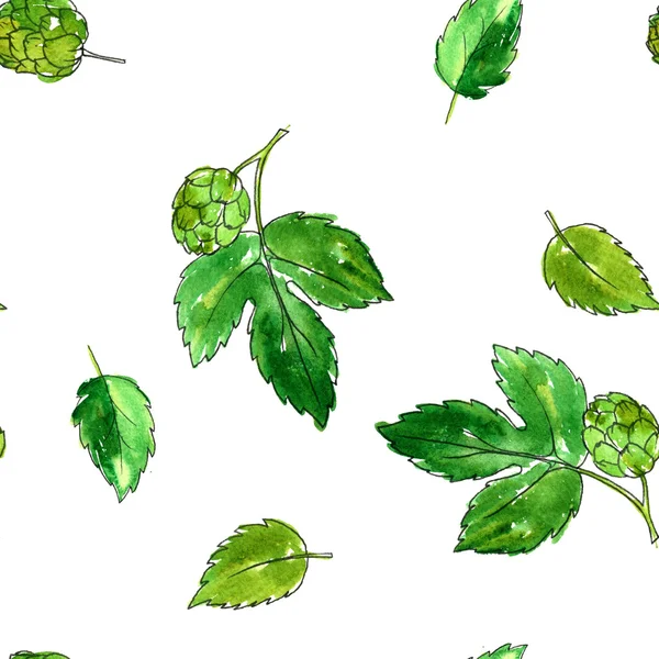 Achtergrond met bladeren van de hop — Stockfoto