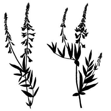 Çizim bitkiler siluetleri vektör kümesi