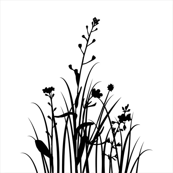 Vector silhuetter av blommor och gräs — Stock vektor