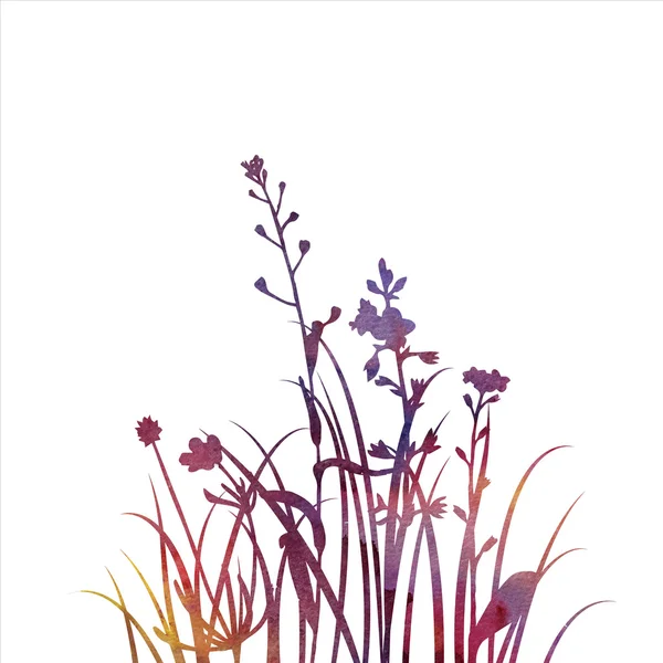Silhuetas de flores e grama — Fotografia de Stock