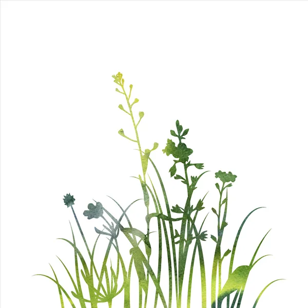 Siluety květin a trávy — Stock fotografie