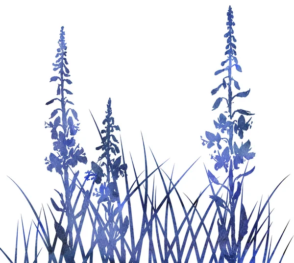 Silhouettes 的花和草 — 图库照片
