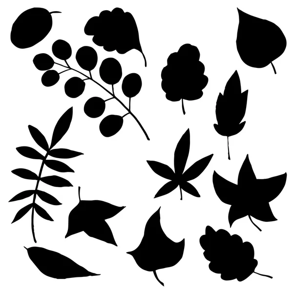 Silhouette vettoriali di foglie e bacche — Vettoriale Stock