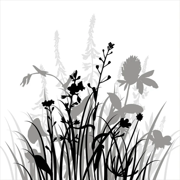 Vector silhouettes of flowers and grass — Stock Vector