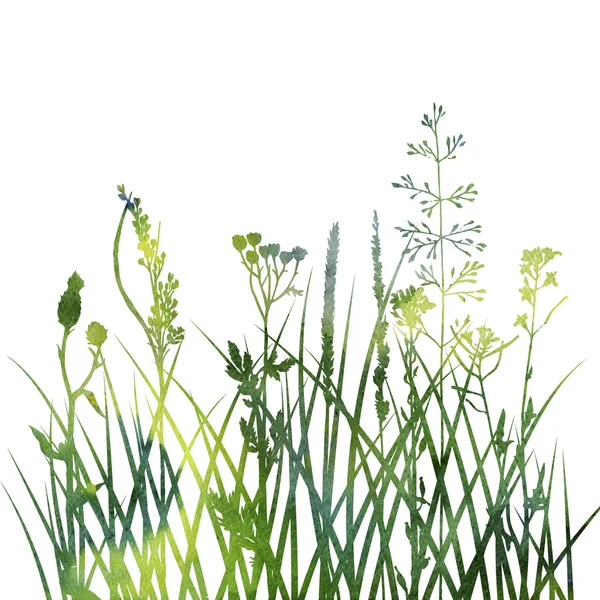 Silhuetter av blommor och gräs — Stockfoto