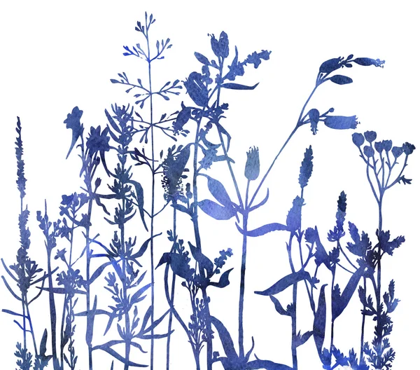 Silhouetten van bloemen en gras — Stockfoto