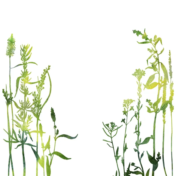Силуэты цветов и травы — стоковое фото