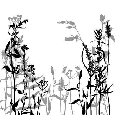 çiçek ve çim Vector silhouettes