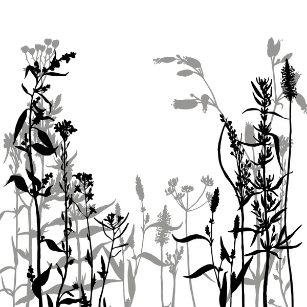 Silhouettes vectorielles de fleurs et d'herbe — Image vectorielle